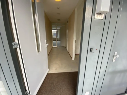 Bospolderstraat, Nieuwerkerk aan den IJssel