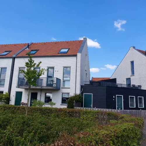 Citroenvlinder, Nijkerk