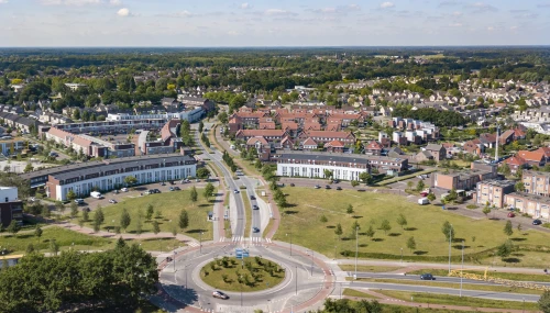 Eekhoorn, Veldhoven
