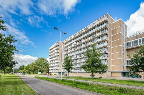 Lupinesingel, Alphen aan den Rijn