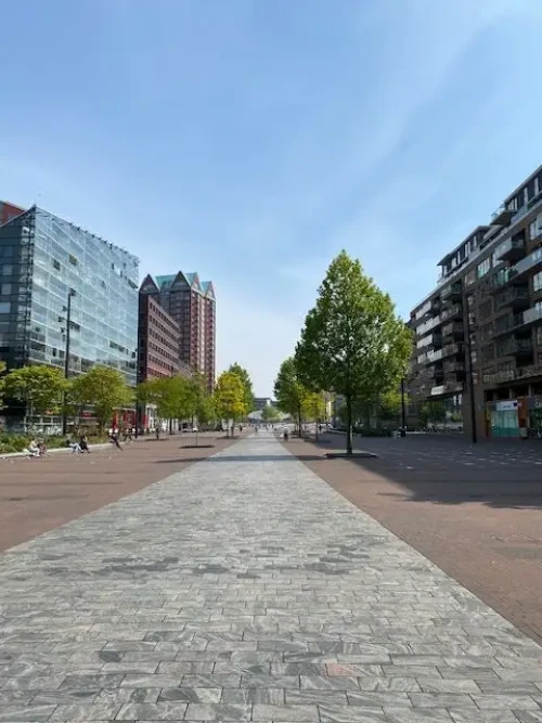 Oppert, Rotterdam