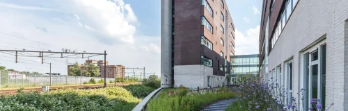 Zuidpoolsingel, Alphen aan den Rijn