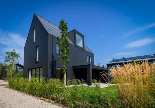 IJsvogel, Muiden