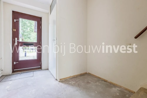 Paardenkampzoom, Koog aan de Zaan