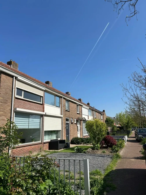 Wilgenplantsoen, Terneuzen