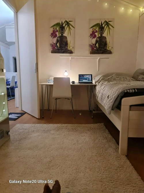 Kamer in 's-Gravenhage