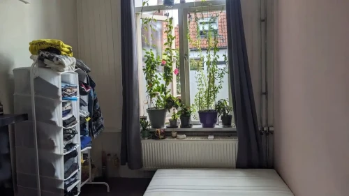Boven Nieuwstraat, Kampen