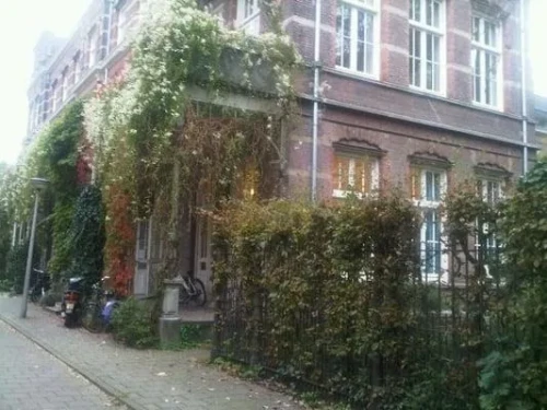 Eerste Helmersstraat