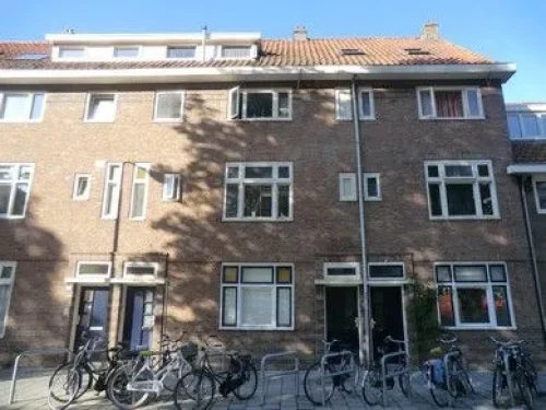 Geldersedam, Den Bosch