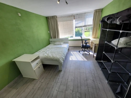 Graan voor Visch