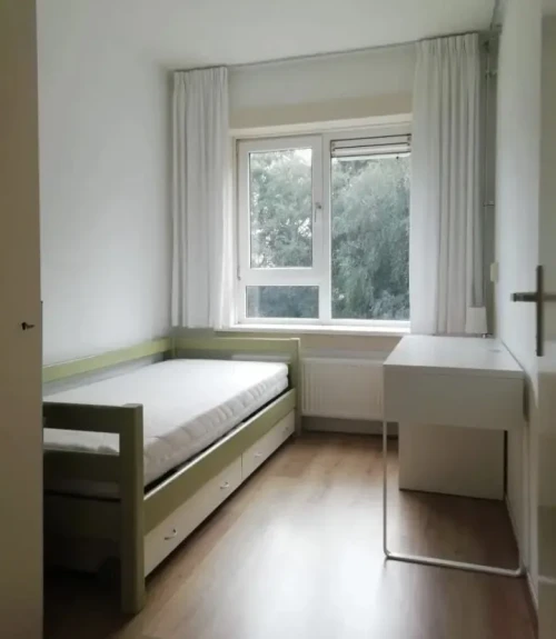Kolonel Palmstraat