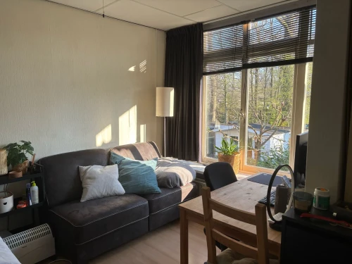 Petrus Dondersstraat