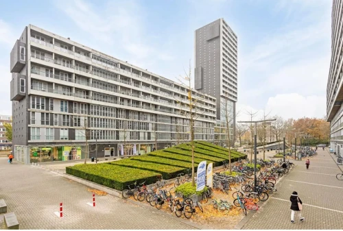 Professor de Moorplein