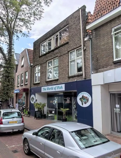 Kamer in Zwolle