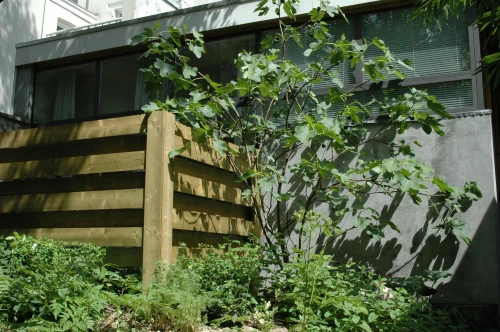 Studio in Maastricht