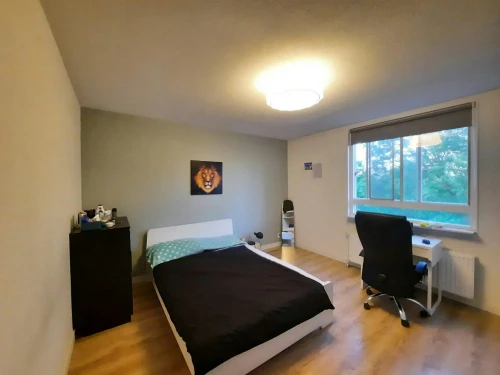 Studio in Rotterdam