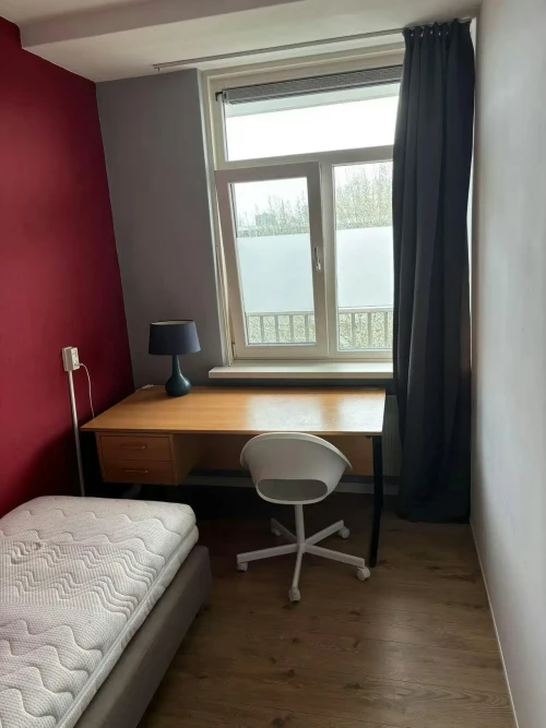 Studio in Rotterdam