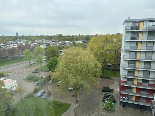 Hoogveld