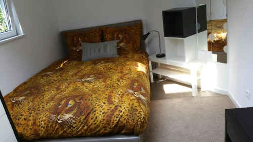 Studio in Hilversum