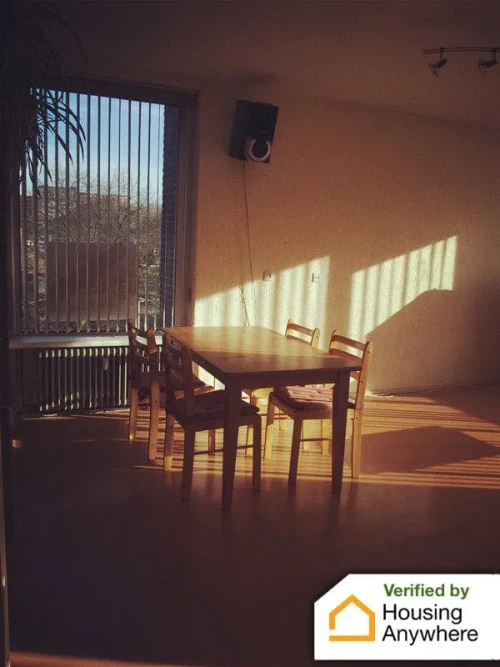 Studio in Rotterdam