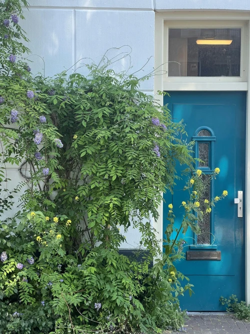 Studio in Amsterdam