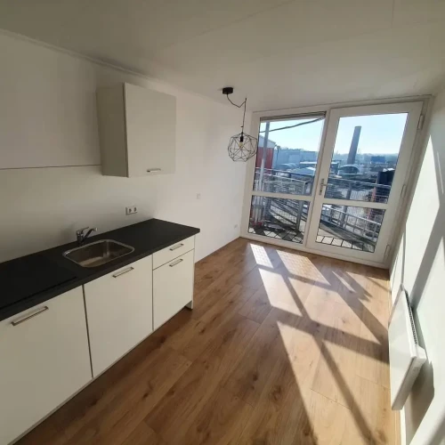 Suikerlaan