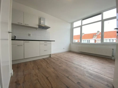Van Zeggelenlaan, Den Haag