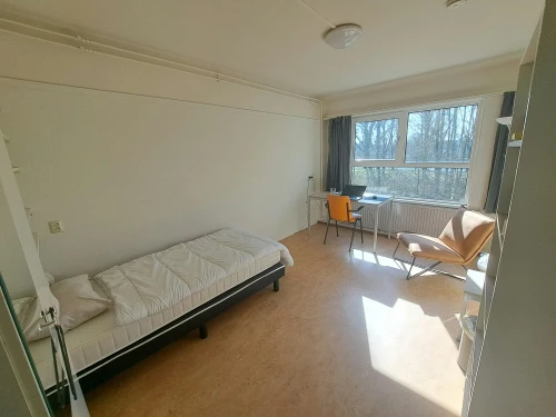 Studio in Nijmegen